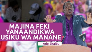 Ado Shaibu TAMISEMI Yabariki Uchafuzi Serikali za Mitaa Hakuna Taarifa Idadi ya Waandikishaji [upl. by Lyckman159]