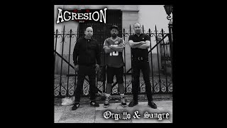 Agresion  Antisocial Feat Melt  Drunken For Oi Video Oficial [upl. by Esikram270]