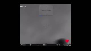 Oklahoma wild hog hunt 100 yard night vision shot hunting hog hunt wildboar wild rifle [upl. by Ietta]