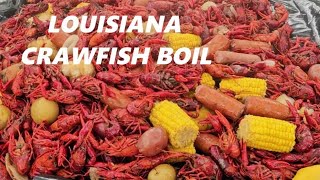 Traditional Louisiana Crawfish Boil [upl. by Yhpos671]