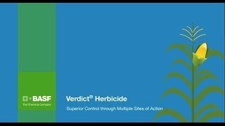 Verdict® Herbicide Superior Control through Multiple Sites of Action [upl. by Strepphon]