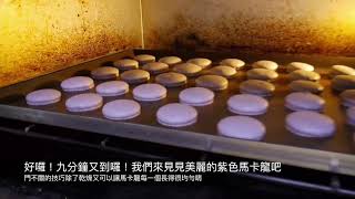 法式馬卡龍 Macarons 零失敗 LinMiacakehoney [upl. by Iraj]