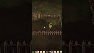 Automatic grass farm Dont Starve Together dst dontstarve shortvideodontstarvetogether shorts [upl. by Seto120]