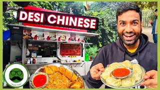 Desi Chinese Street Food in Rohini Delhi  Veggie Paaji Dilli ki Sardi [upl. by Sharyl]