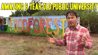 Amazing 6 Year Old Public University Permaculture Food Food Forest [upl. by Beera]