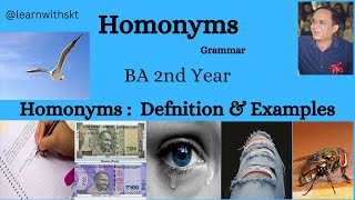 Homonyms  Definition amp Examples [upl. by Netty]