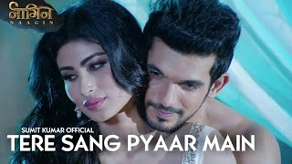 Tere Sang Pyar Main Nahin Todna  Naagin  Colours TV [upl. by Enneyehs12]