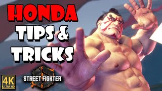 E Honda Tips amp Tricks Guide  Street Fighter 6 [upl. by Naired]