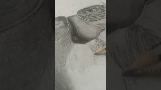 Hyper realistic sketch of Walter White with Graphite pencil youtubeshorts jaishreeram [upl. by Irol]