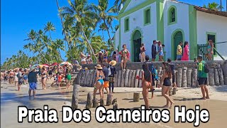 Praia Dos Carneiros Pernambuco 28 De Outubro De 2024 Dicas Importantes [upl. by Ahcropal603]