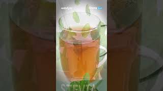 What is stevia and its uses  Stevia instead of sugar  chotanewsofficial [upl. by Persas]