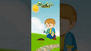 Plant Life Cycle for Kids PlantLifeCycle KidsEducation ScienceForKids EducationalVideo Kids [upl. by Eardnaed886]