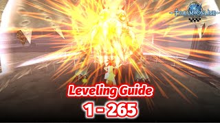 Toram Online  Leveling Guide 1265  Recommended Route to Level Up your Character [upl. by Younglove6]