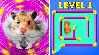 I Built a Trickiest Maze for a HAMSTER  Rainbow Friends Style 🐹 [upl. by Augustina]