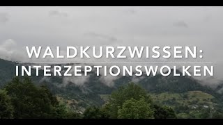 Interzeptions Wolken Waldkurzwissen [upl. by Ingeborg]