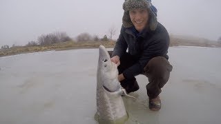 Ice Fishing for HUGE Sturgeon  Catch n Cook Sturgeon Over an Open Fire [upl. by Emanuele]