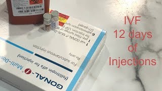 IVF  12 Days of Injections [upl. by Neerehs983]