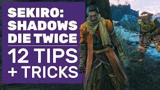 Sekiro Shadows Die Twice  Walkthrough Part 11 Genichiro [upl. by Beekman]