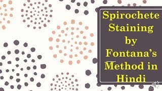 Spirochetes Staining by Fontanas Method Hindi  Microbiology with Sumi [upl. by Lejeune]