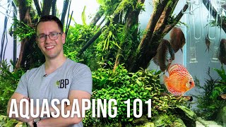 Intro Aquascaping for Beginners  Learn the Basics  EP1 Planted Tank Overview [upl. by Wiley821]