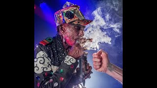 Lee Scratch Perry In Action Dub aka South Africa Free Dub [upl. by Cherish]