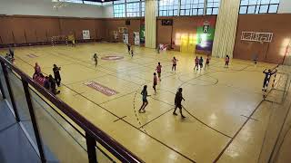 Balonmano Torredelcampo  Los Dólmenes Antequera [upl. by Yks]