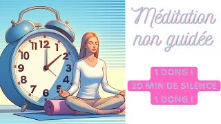 SUPPORT DE MEDITATION NON GUIDEE  30 MIN [upl. by Clement]