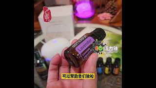 ＃Doterra 精油从何开始最合适？基本精油入门套装吗？怎么说？ [upl. by Enamrej448]