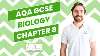 AQA GCSE Biology B8 Photosynthesis  EXPLAINED [upl. by Lletnahc]