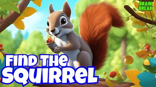 FIND THE SQUIRREL  EXERCISE BRAIN BREAK FOR KIDS  CLASSROOM MOVEMENT  KIDS VIDEOS FOR KIDS [upl. by Eahsat]