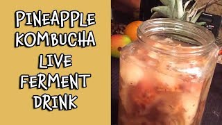 Pineapple Kombucha Live Ferment Drink  Dr Robert Cassar [upl. by Neerroc866]