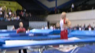 PRAEST Daniel DEN  2014 Trampoline Worlds Daytona Beach USA  Qualifications Men [upl. by Onitnelav441]