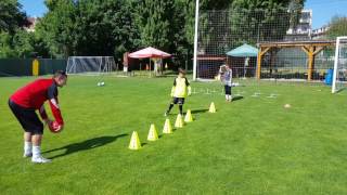 GOALKEEPERS TRAINING 6 U9  Tomáš Věneček [upl. by Noiro]