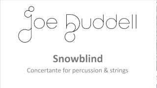 Snowblind mvt I by Joe Duddell  concertante for percussion amp strings [upl. by Warga]