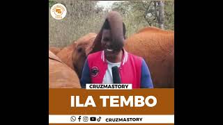 tembo viral content [upl. by Parhe]