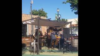 Don Darox amp Th Melody Joy Bakers  The Hot Damn Opus Live at Annas Cider in Santa Paula CA [upl. by Rees]