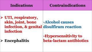 Antiinfective Agents Part I Nursing Pharmacology [upl. by Flaherty439]