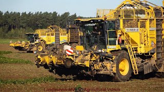 Ropa  Fendt  Claas  Zuckerrübenernte  Sugar Beet Harvest 2024 pt2 [upl. by Nej692]