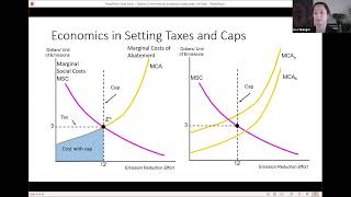 Applying Environmental Economics to Policy Taxes Fees Cap amp Trade [upl. by Dido]