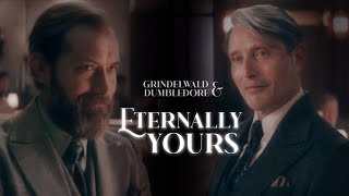 ❥ Eternally Yours  Grindelwald amp Dumbledore [upl. by Atinaj]