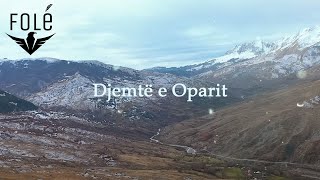 Artiol Sulejmanasi  Djemte e Oparit  official video [upl. by Einahteb]