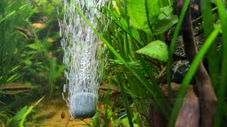 Do I need an airpump for my aquarium [upl. by Walden]