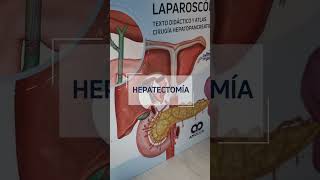 Libro de Gastroenterología y Cirugía general quotEl arte de la cirugía laparoscópicaquot [upl. by Yrol]