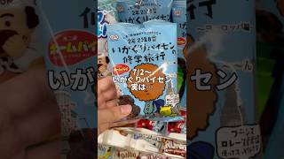 新発売お菓子『いがぐりパイセンの修学旅行』ホームパイ asmr shorts コンビニスイーツ コンビニ新作 お菓子 [upl. by Yromem]