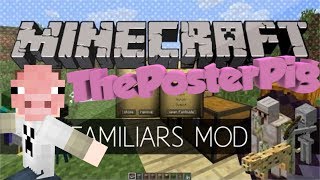 Familiars Mod Review  Minecraft 164  Super Perks [upl. by Stulin]