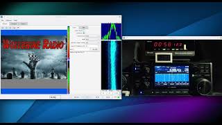 Halloween Pirate Wolverine Shortwave Radio SSTV 2024 R8600 [upl. by Nimocks]