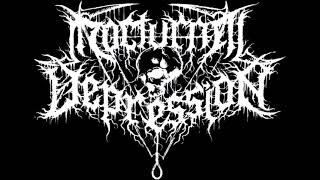 Nocturnal Depression  Live in Friesack 2023 Incomplete Concert [upl. by Eletnahc]