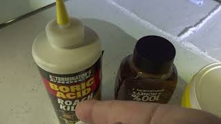 How to Kill Ants What People Dont Tell You DIY [upl. by Netnilc]