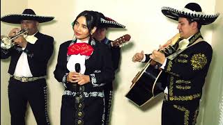 Paloma Cucurrucucu  Mexican Mariachi  Los Mariachi Bros [upl. by Amble]