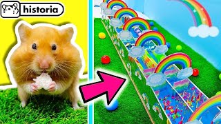 ️‍🌈🐹¡Carrera de obstáculos de HÁMSTERES ️‍🌈 LABERINTO ARCOÍRIS para hámsteres [upl. by Kimball695]